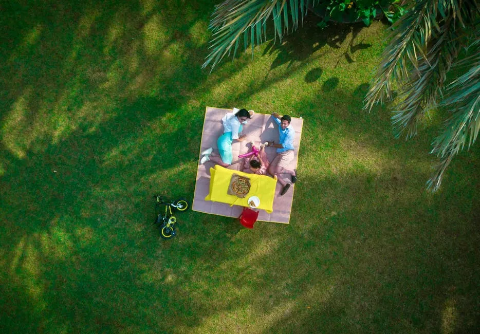 Aerial view of a family enjoying a picnic on a bright day in a Dubai park.