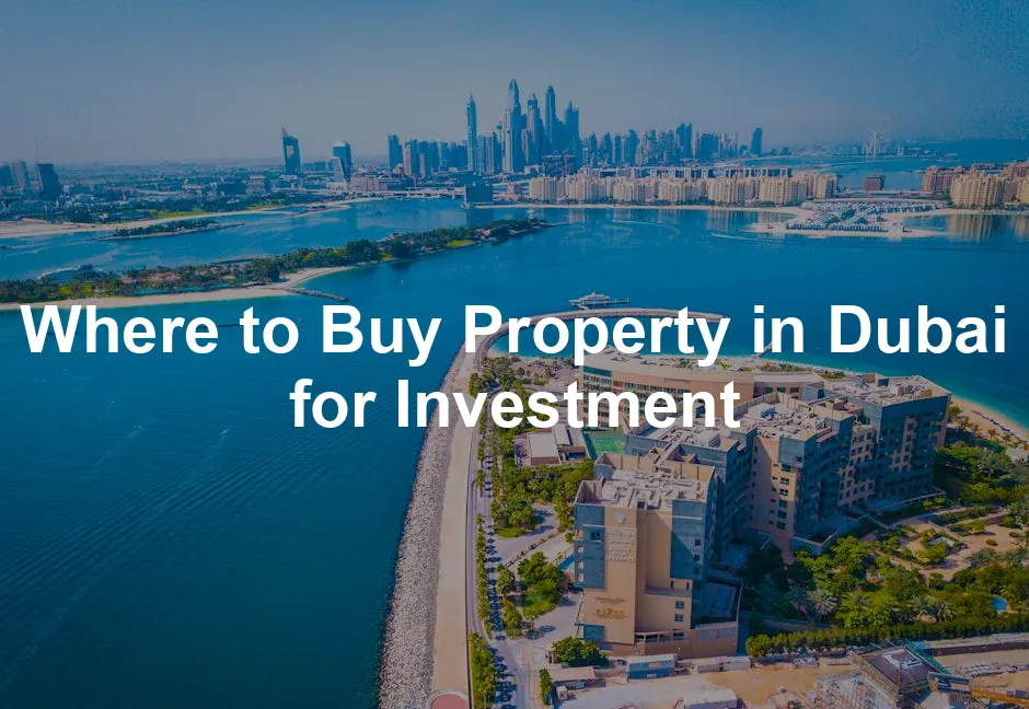 Featured image for Where to Buy Property in Dubai for Investment